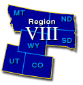 REGION 8